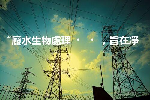 “廢水生物處理，旨在凈化水源，守護(hù)碧水藍(lán)天”